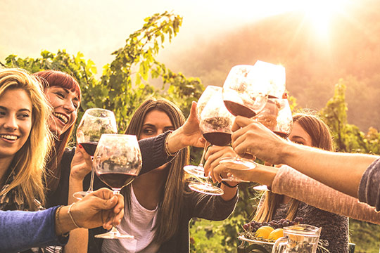 Grupo disfrutando de cata de vinos